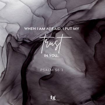 My Rock Scripture Insert