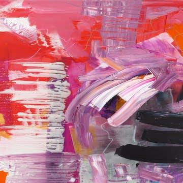 Julie Dailey Collab Tray Inserts