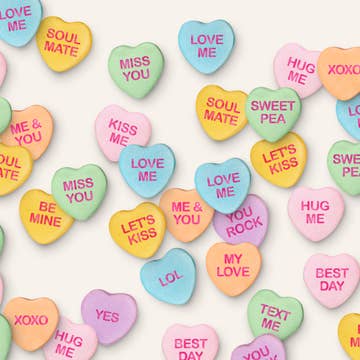 All Year Long Tray Inserts