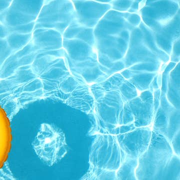 All Year Long Tray Inserts