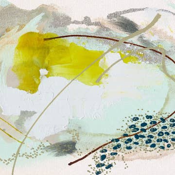 Julie Dailey Collab Tray Inserts