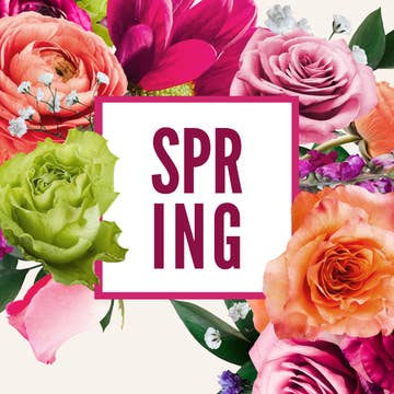 All Year Long Tray Inserts