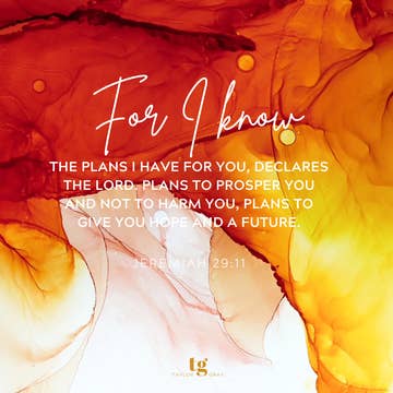 My Rock Scripture Insert